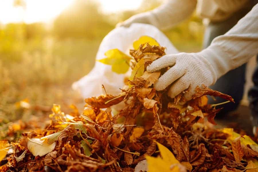 Konténer rendelés – Családi program az őszi kertrendezés